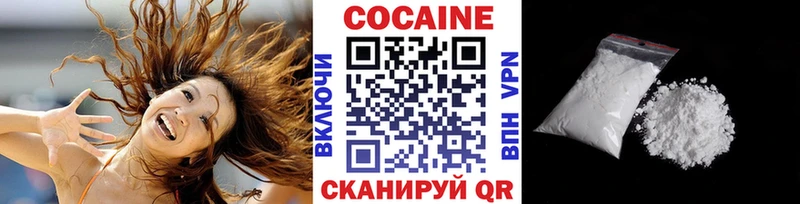 Cocaine FishScale  купить наркотики цена  Пенза 