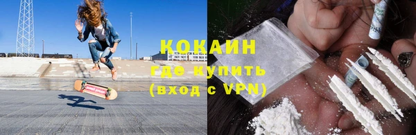 молекула духа Богородицк