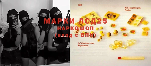 молекула духа Богородицк
