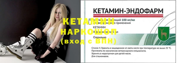 молекула духа Богородицк