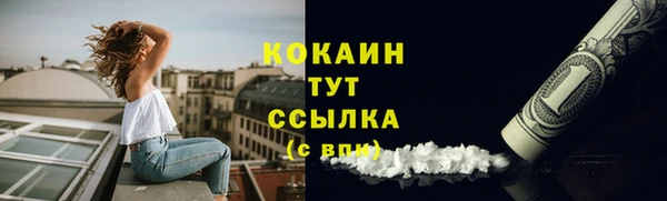 твердый Богородск