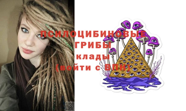 молекула духа Богородицк