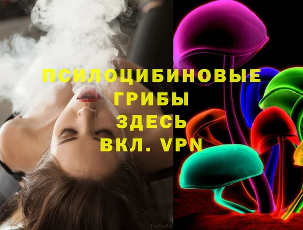 молекула духа Богородицк