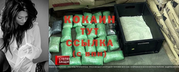 твердый Богородск
