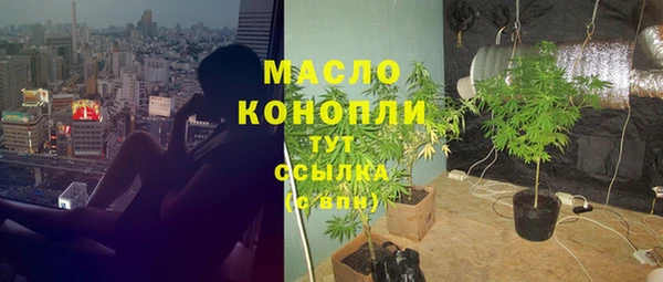 молекула духа Богородицк