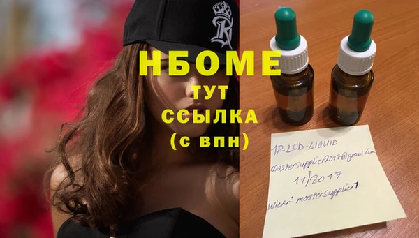 молекула духа Богородицк